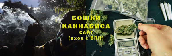 ГАЛЛЮЦИНОГЕННЫЕ ГРИБЫ Баксан